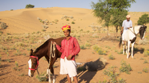 Im Bann der Pferde – Indien